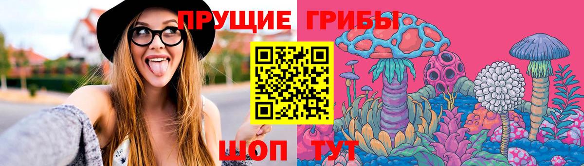 Псилоцибиновые грибы мицелий Воткинск